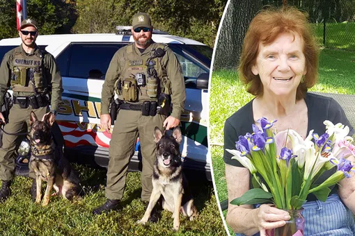 90-летняя женщина удивила семью, оставив огромное наследство полицейским собакам