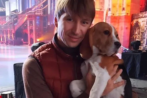 «Зализываешь свои ошибки?»: Алексей Ягудин пристыдил собаку в трогательном видео