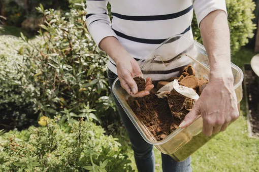 6 способов использования корицы в саду и огороде