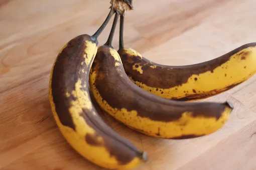 Посадочный материал для выращивания банана дома на подоконнике