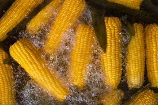 Варёная кукуруза в воде фото
