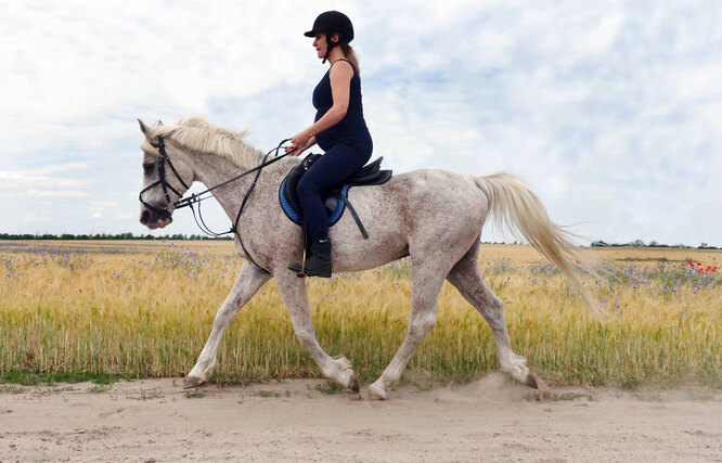 можно ли беременным на лошадях