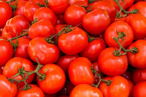 Ошибки при выращивании томатов. Узнайте, что вы делаете неправильно!