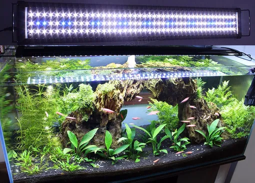 Освещение аквариумных растений