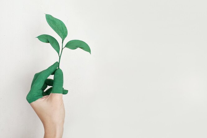 Экология в действии: как забота о природе помогает экономить и строить карьеру Экология в действии: как забота о природе помогает экономить и строить карьеру