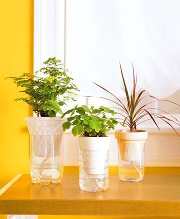 Фитильный способ полива можно использовать для небольших растений с неразвитой корневой системой