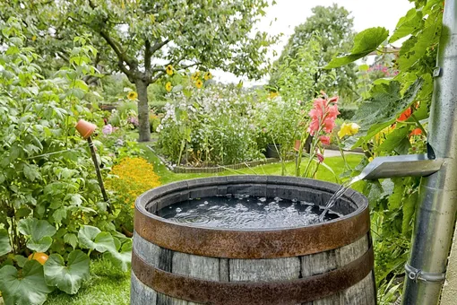 Способы заготовки воды нормальной температуры для полива огорода