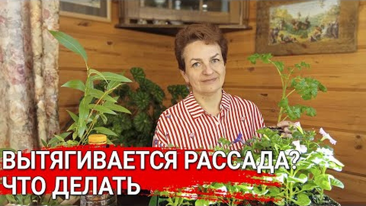 Klikněte a uvidíte