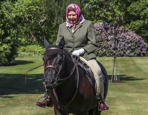Королева Елизавета II ездит на лошади