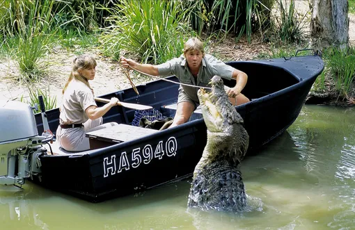 охота на крокодилов