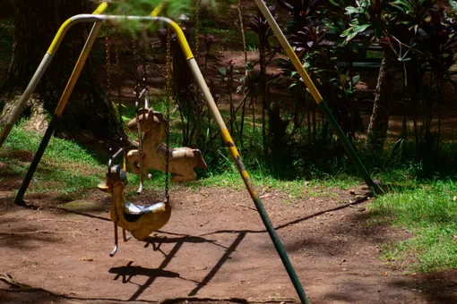 Ловушка на детской площадке: ребёнок не смог выбраться из карусели, которую раскрутил электросамокат
