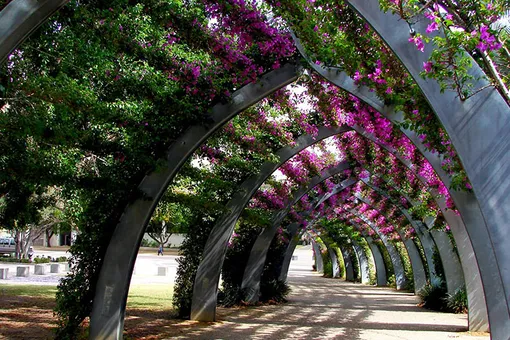 15 самых красивых «цветочных» улиц в мире