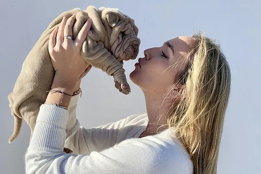 «Очаровательный плюшка»: щенок шарпея покорил соцсети своими складками