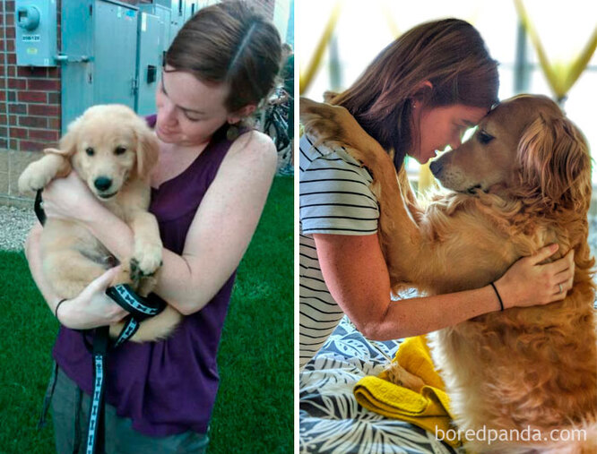 20 трогательных фотографий собак и их хозяев в начале дружбы и через много лет