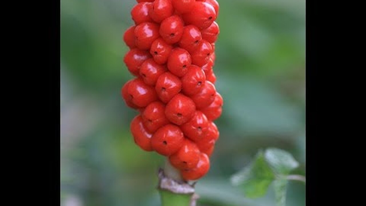 Klikněte a uvidíte