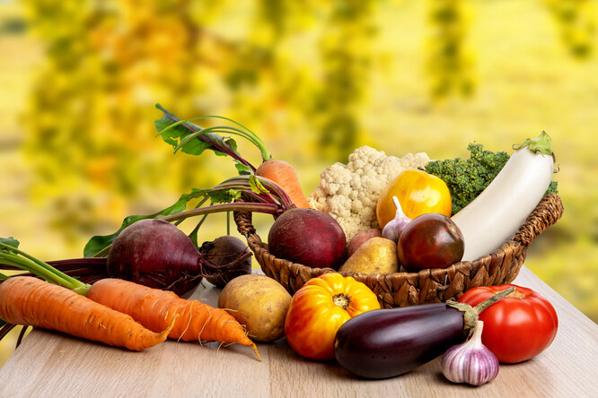 овощи в корзине, как посадить огород новичкам овощи в корзине, как посадить огород новичкам