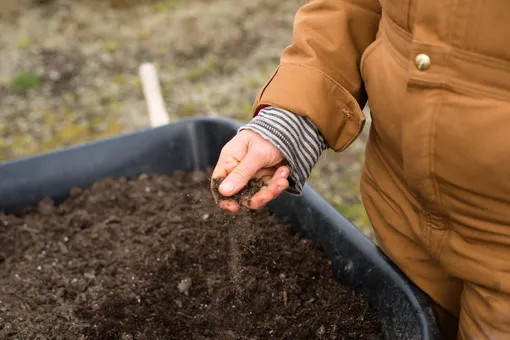 Фитоспорин может быть использован для обработки почвы с целью обеззараживания