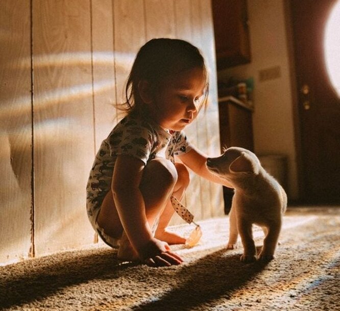 дружба ребенка и щенка трогательное фото