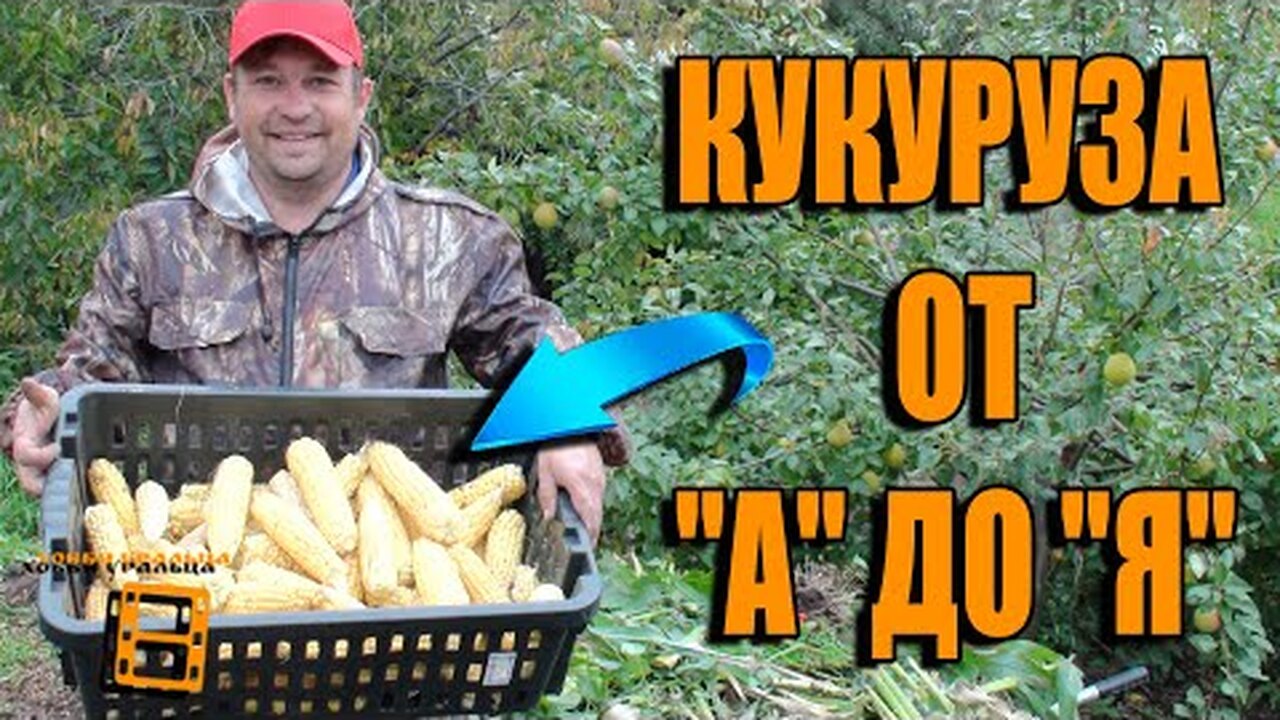 Klikněte a uvidíte