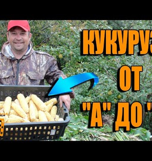 Klikněte a uvidíte