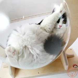 аквариум подвесной гамак для кота прозрачный