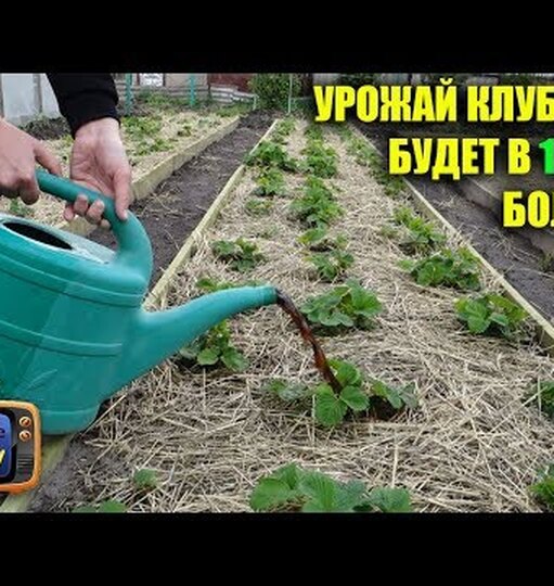 Нажми и смотри