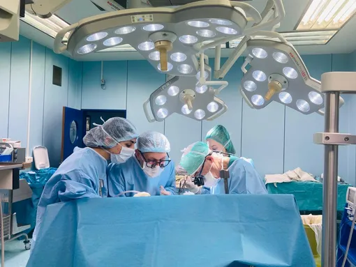 Как проводится трансплантация органов