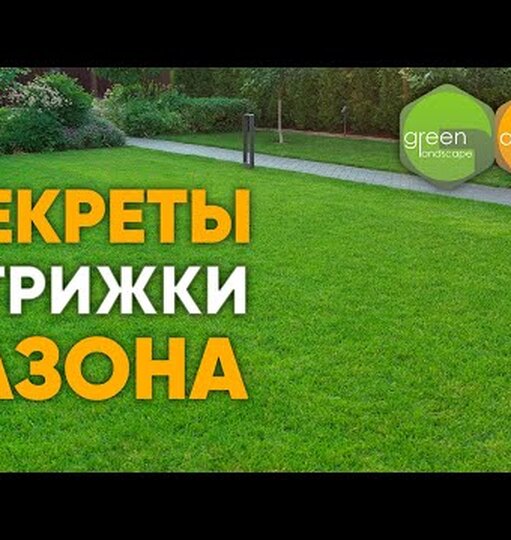 Нажми и смотри