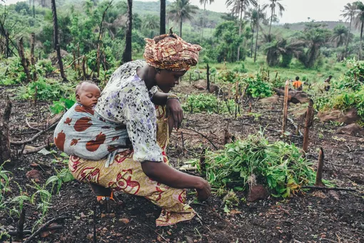 африка, женщина с ребенком, бедность, африканские плантации