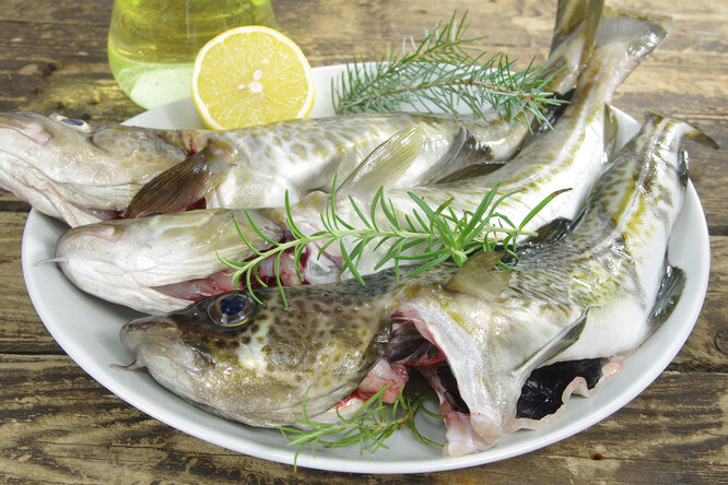 Рецепты для устранения запаха тины у речной рыбы