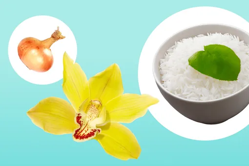 Как заставить орхидею цвести с помощью риса и лука