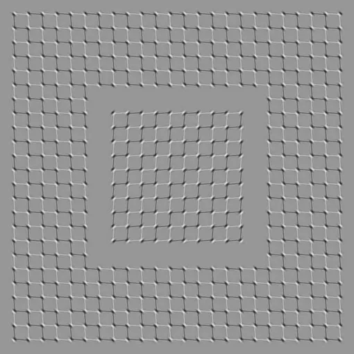 оптическая иллюзия серые квадраты