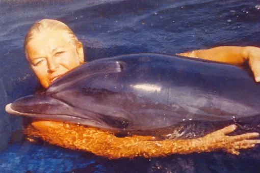 Как каскадёрша из «Человека-амфибии» Галина Шурепова готовила боевых дельфинов