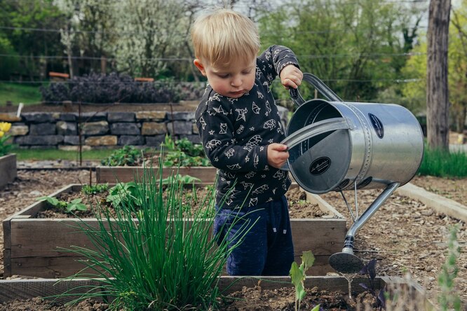Огород вместе с ребёнком: как привить любовь к растениям