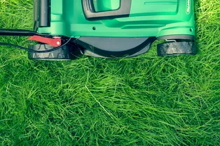 Восстанавливаем газон: 5 самых распространённых проблем и их решение