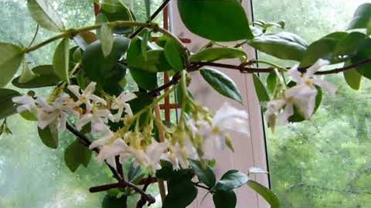 Klikněte a uvidíte