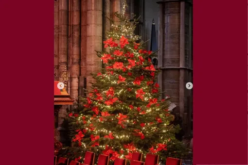 Кейт Миддлтон показала, как выглядела рождественская елка в прошлом году