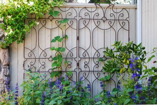 Забор на дачу своими руками: как украсить дачную ограду, идеи с фото