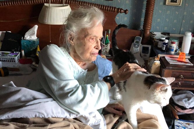 Пожилой кот залечил раны 101-летней женщины, пережившей своего питомца
