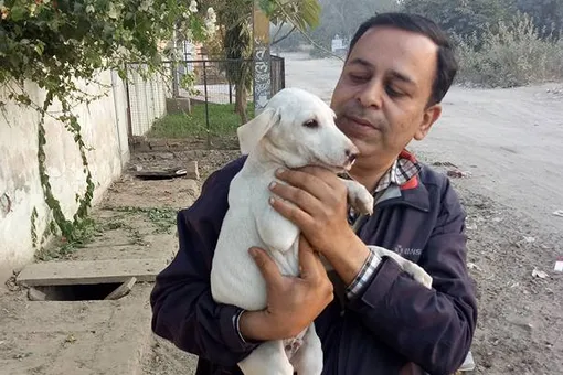 Уроки доброты: мужчина посвятил себя помощи животным и спас уже более 900 жизней