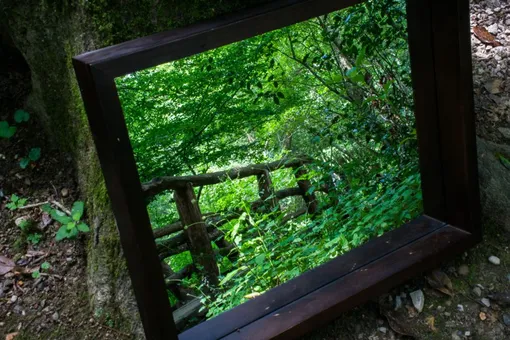 Зеркало в дизайне маленького сада позволяет увеличить пространство