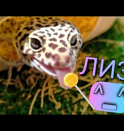 Нажми и смотри