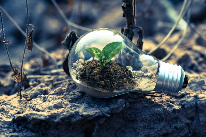 5 způsobů, jak zlepšit úrodnost půdy: Chcete bohatou úrodu bez chemie?