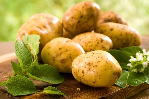 Пока соседи копают картошку — увеличивайте свой урожай: секреты ухода за картофелем в августе