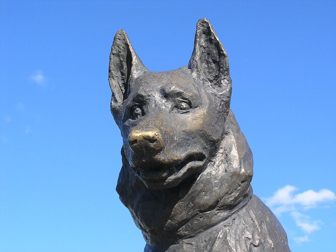 памятник верной собаке
