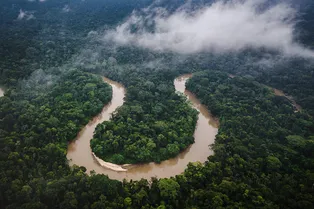 Двое детей, пропавших в лесах Амазонии, были найдены живыми спустя месяц