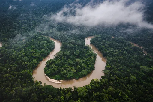 Двое детей, пропавших в лесах Амазонии, были найдены живыми спустя месяц