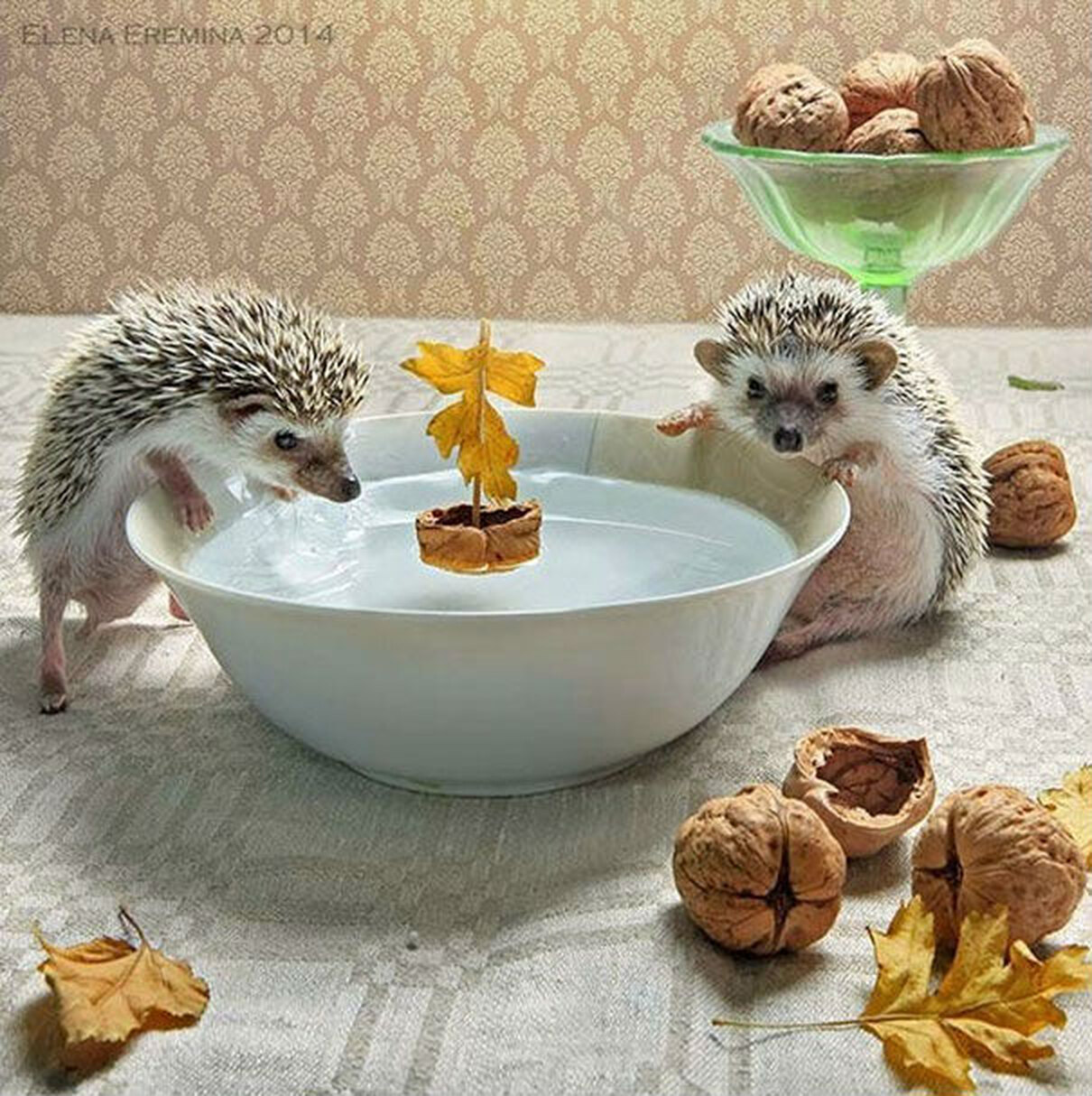 Забавные картинки утро