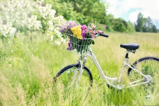 велосипед на поляне с цветами в корзинке