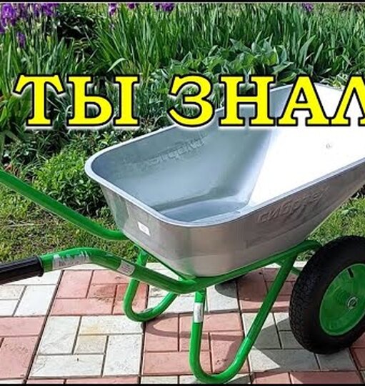 Нажми и смотри